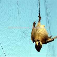 Nylon névoa bird net